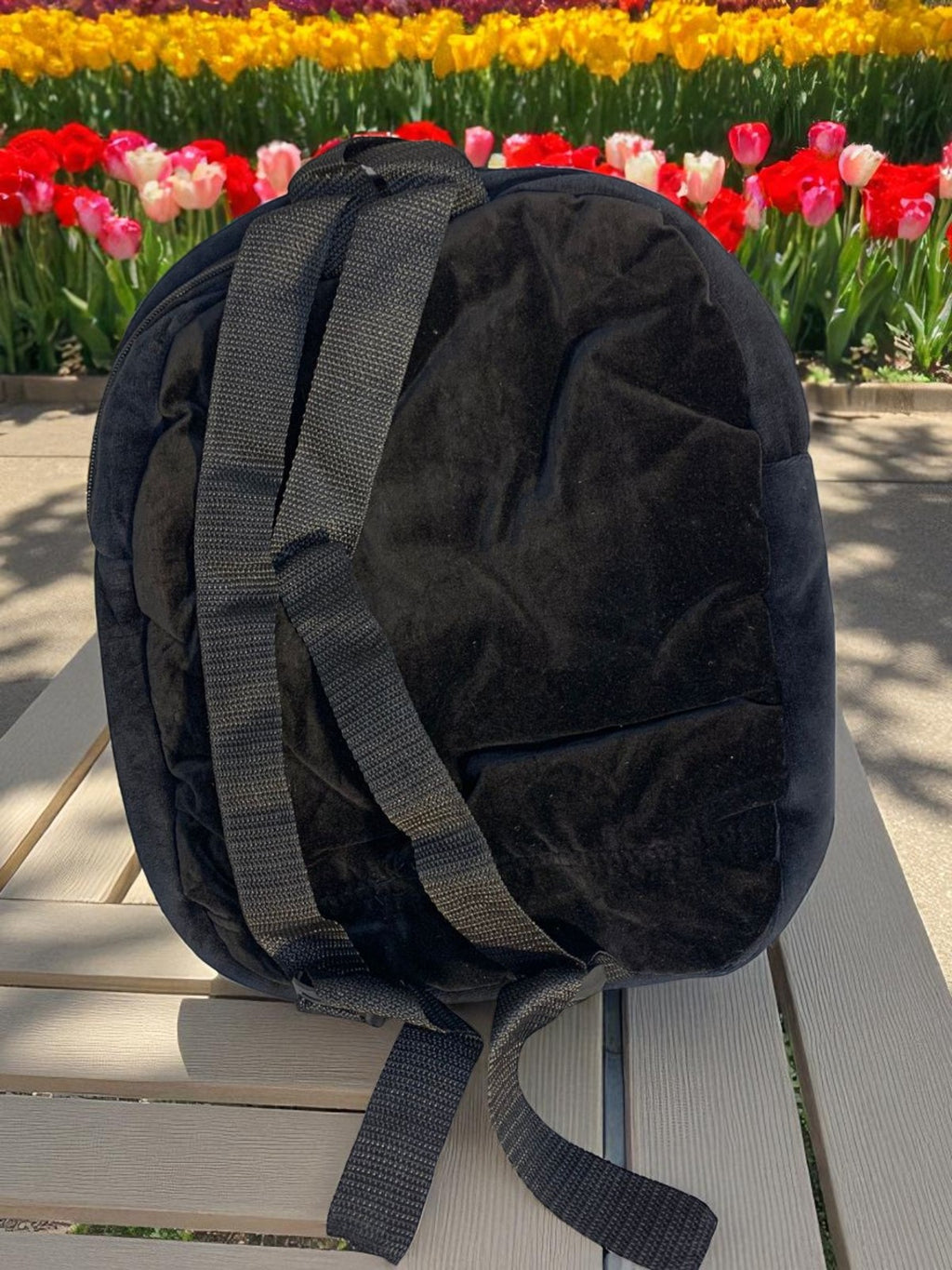 Mickey and Donald Backpack (Black)