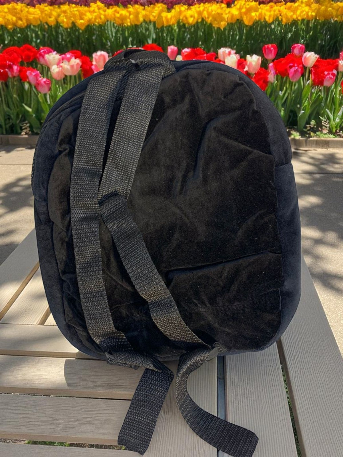 Mickey and Donald Backpack (Black)